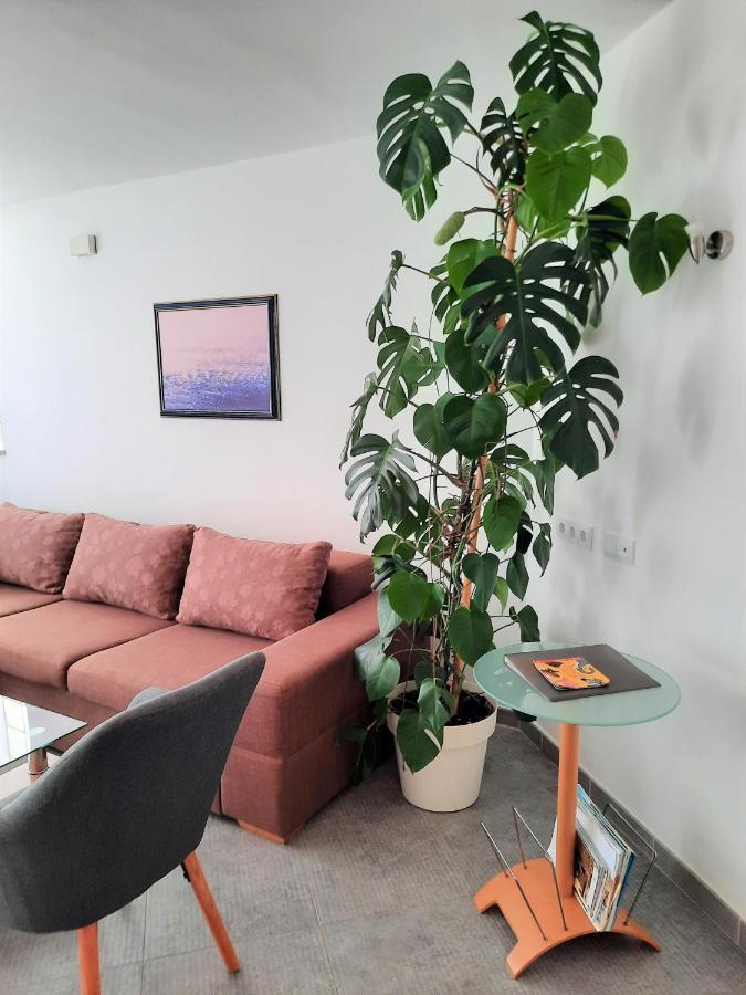 Apartment Mato Barbariga Zewnętrze zdjęcie